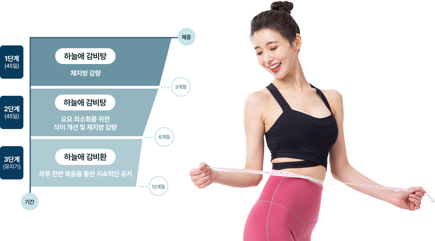 이상적인 다이어트 차